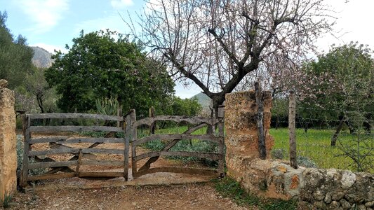 Mallorca february gate