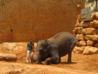 Cute zoo