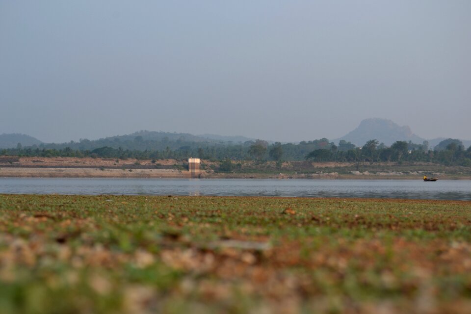 Environment landscape green