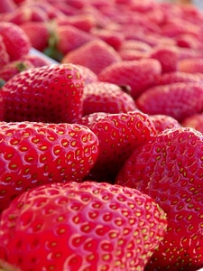 Strawberry fruit red fruits