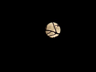 Night darkness full moon photo
