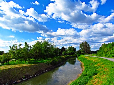 The brook landscape bird