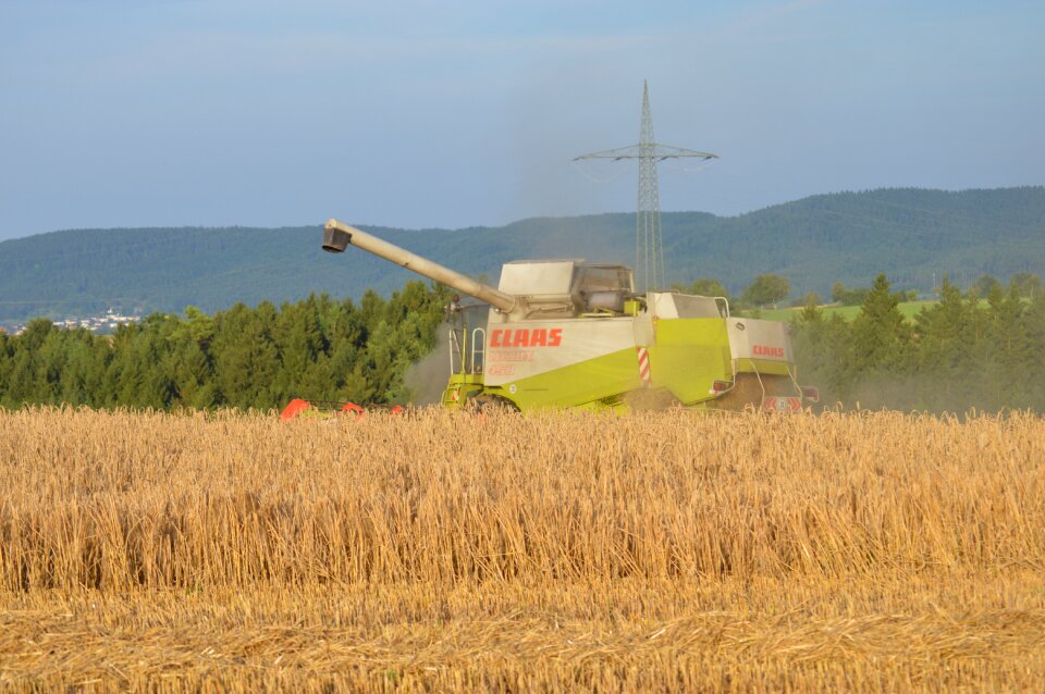 Field straw autumn