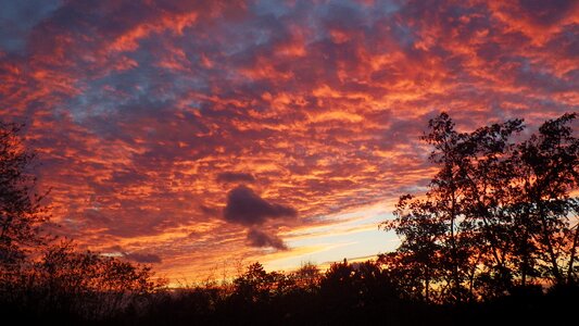 Nature beautiful bright