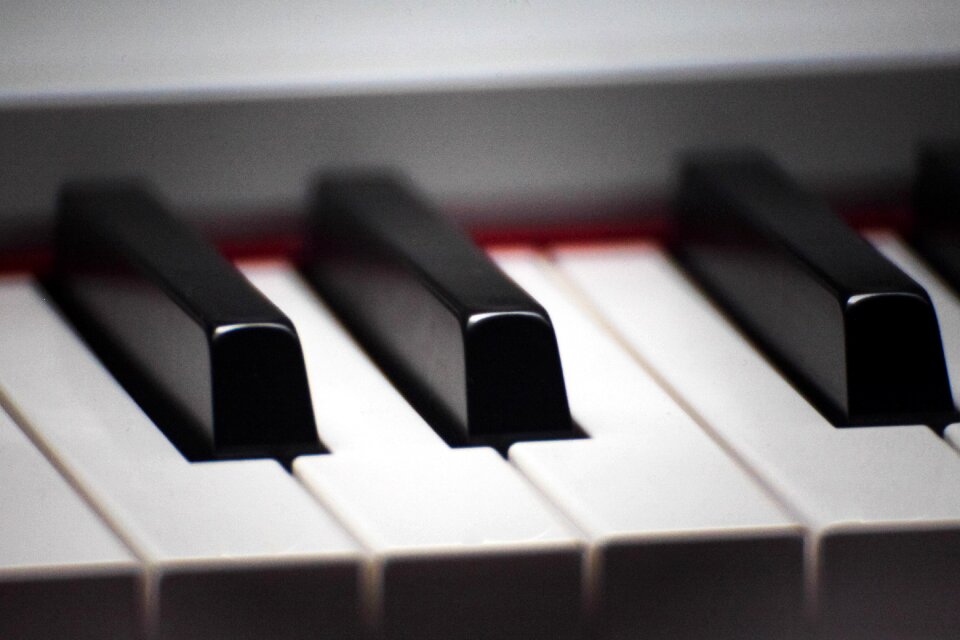 Instruments keys musician