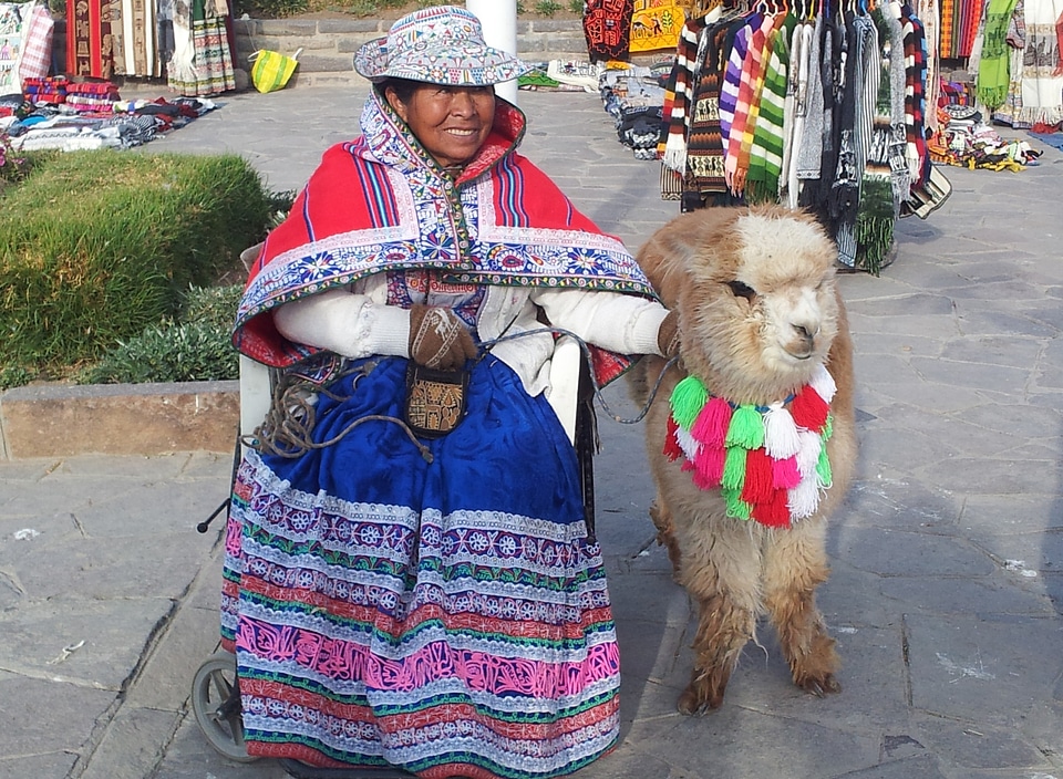 Alpaca decorated costume