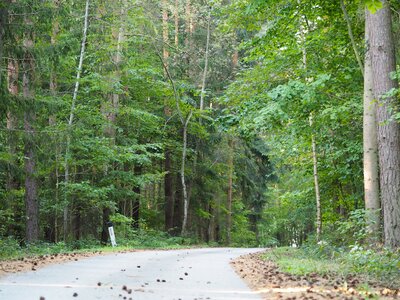 Hiking nature landscape