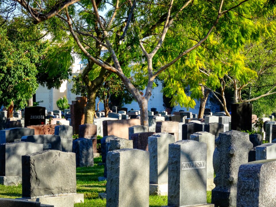 Grave stones graves tomb