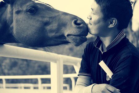 Horse riding equestrian