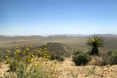 Desert park california photo