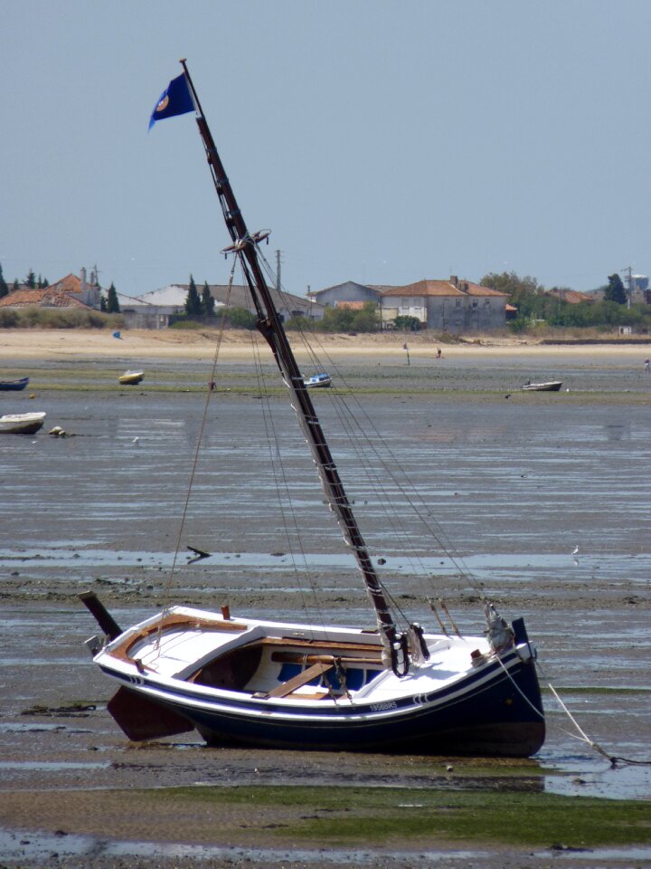 Fishing boat fish small boat