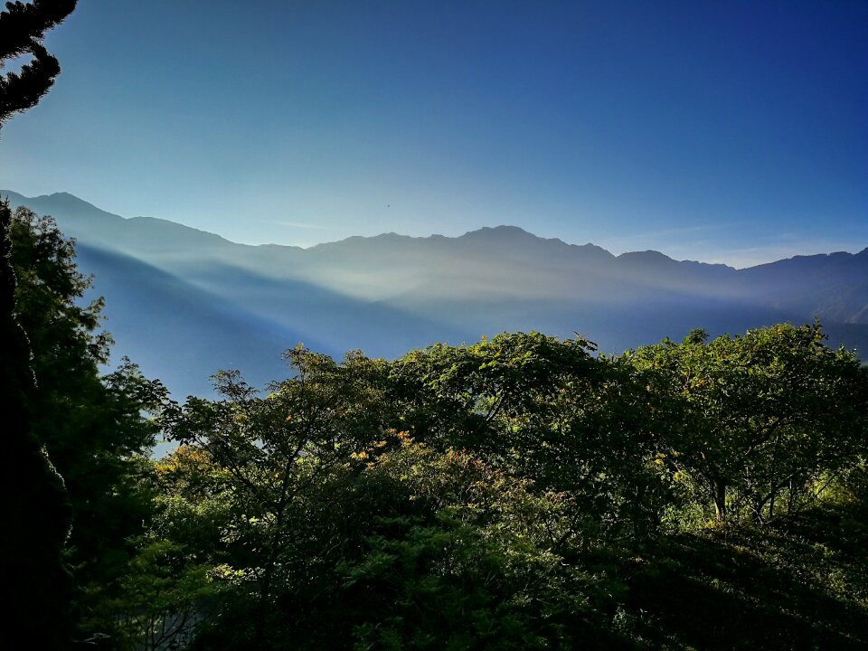 Trees mountain kasumi