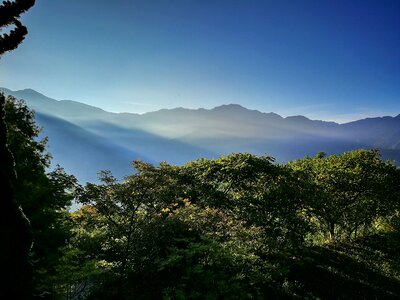 Trees mountain kasumi