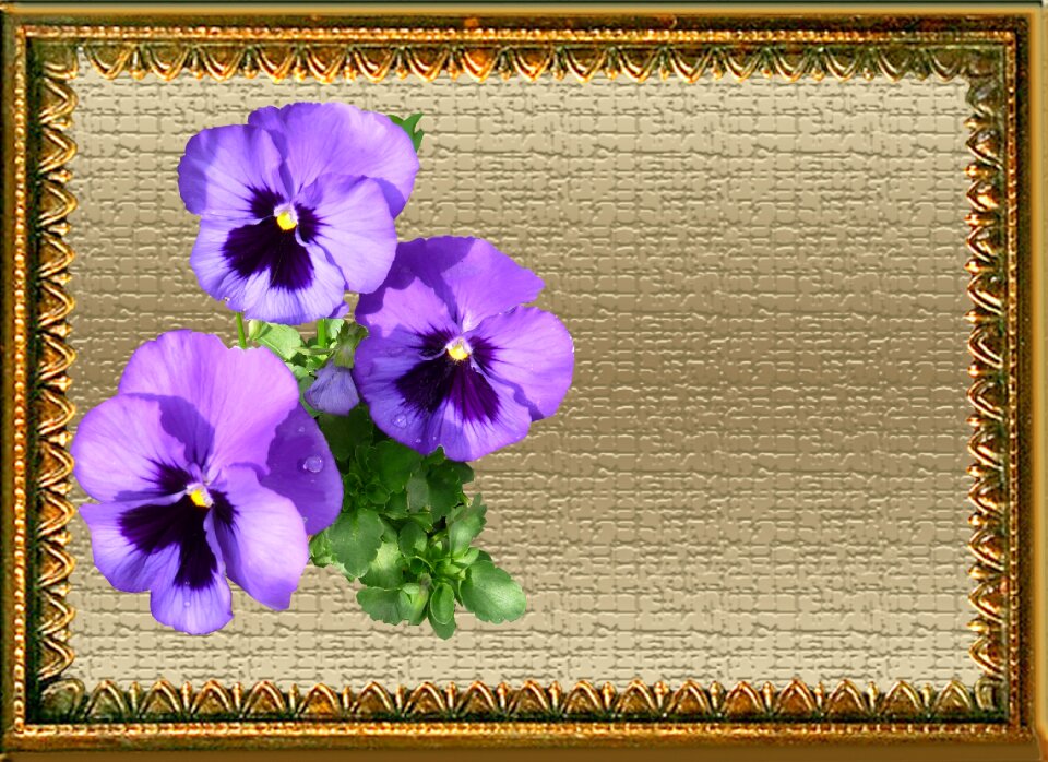 Flowers gold frame