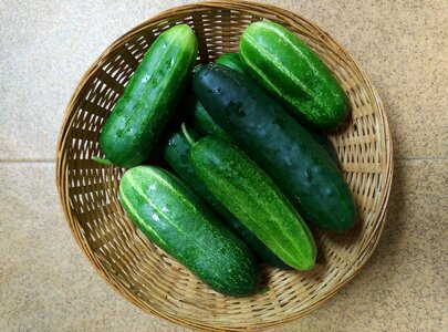 Harvest cucurbits fruit