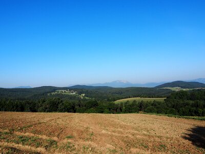 Blue alpine forest photo