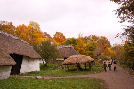 Thatched roofs hay autumn