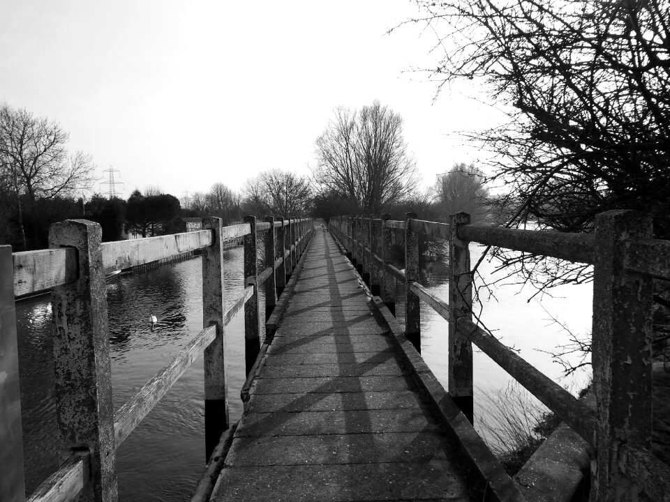 Wooden nature water photo