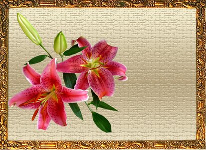 Flowers frame