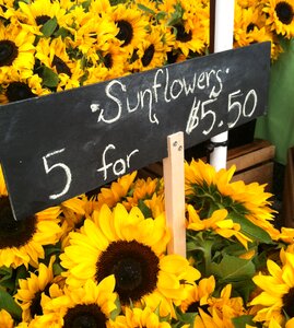 Summer market