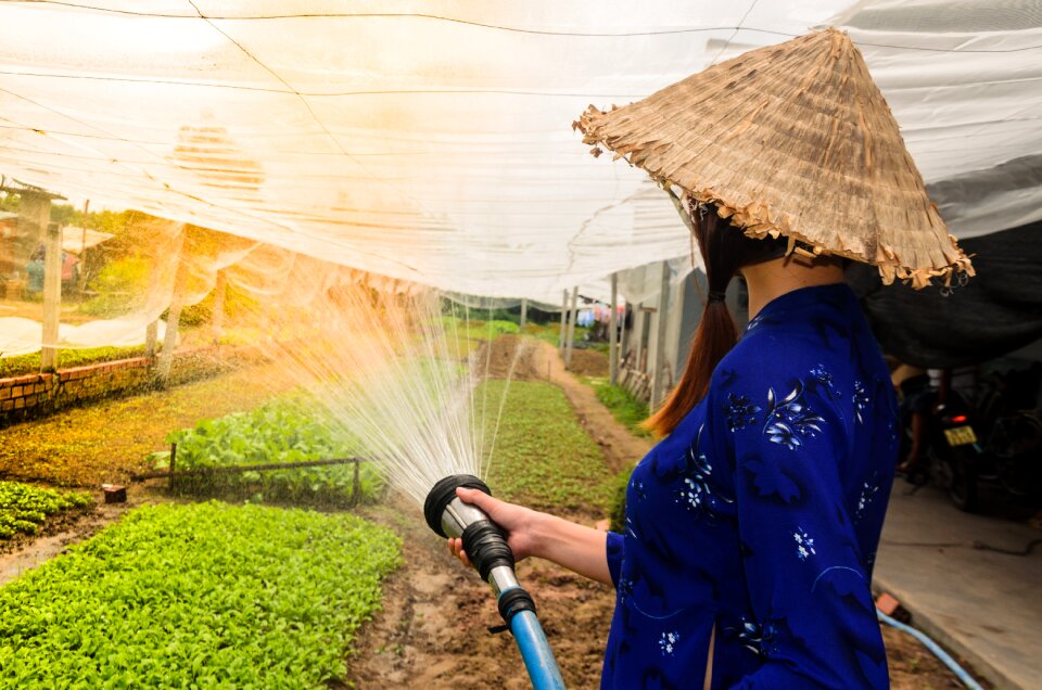 Plant watering light