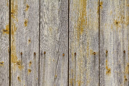 Fence wood texture gray wood photo