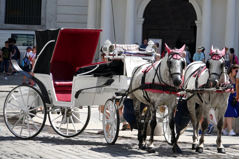 Vienna fiaker coach