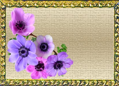 Flowers frame