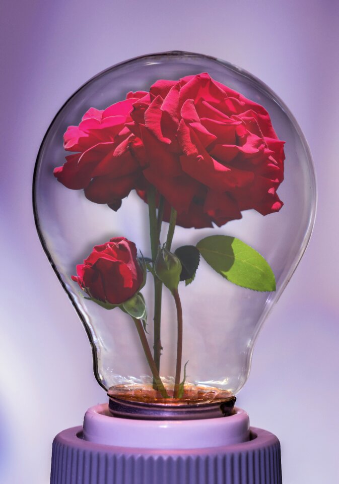 Flower floral lamp