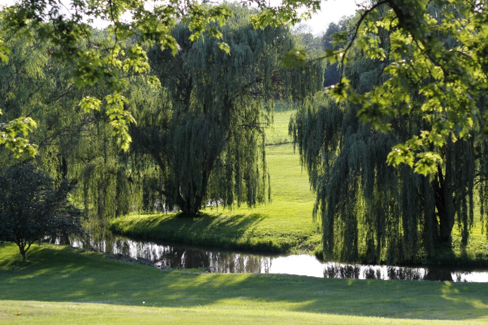 Natural scenery peaceful