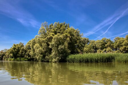 River bratislava trees photo