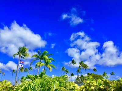 Bluesky relax resort hawaii