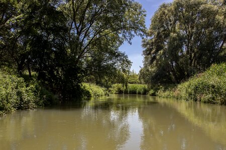 River bratislava trees photo