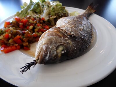 Sea bream vegetables grilled