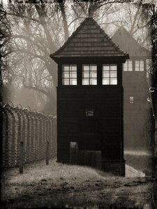 Concentration camp history the museum