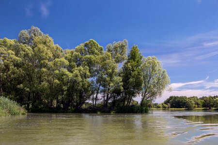 River bratislava trees photo