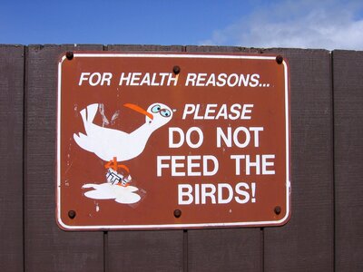 Forbidding safety