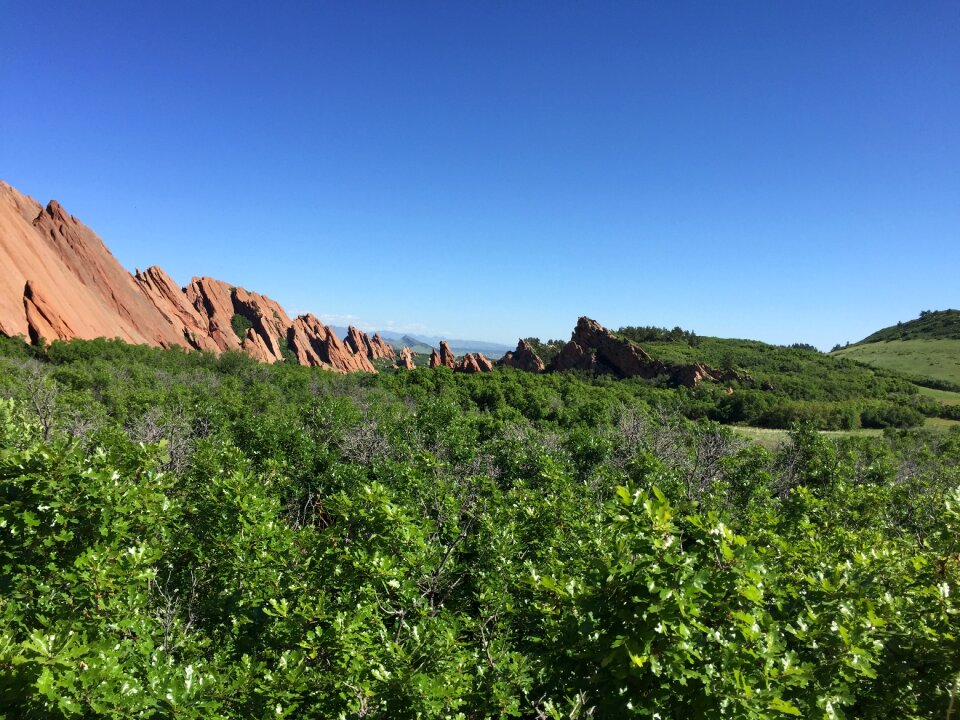 Nature landscape park