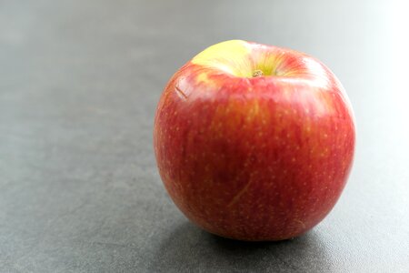 Apple fruit pome fruit
