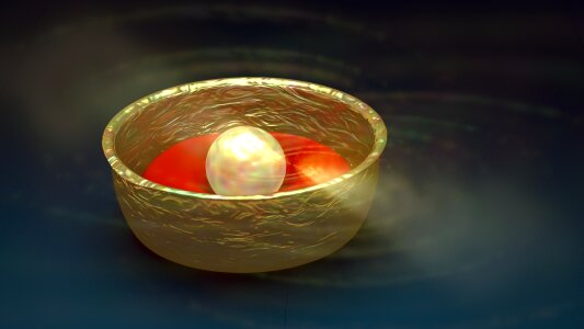 Mother of pearl gold red