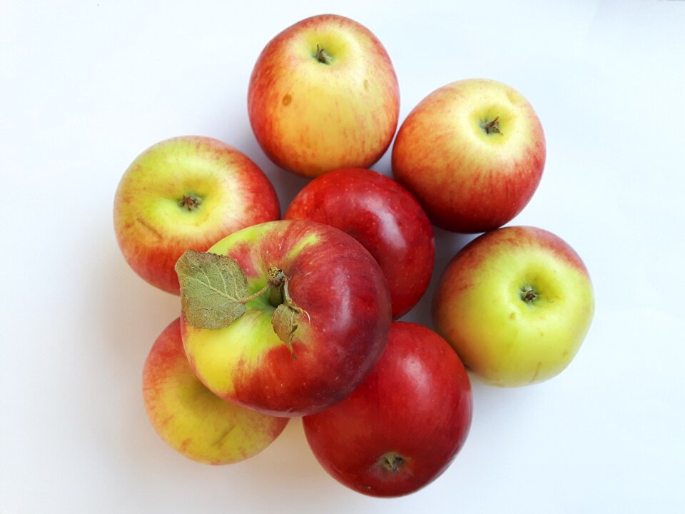 White eating nutrition