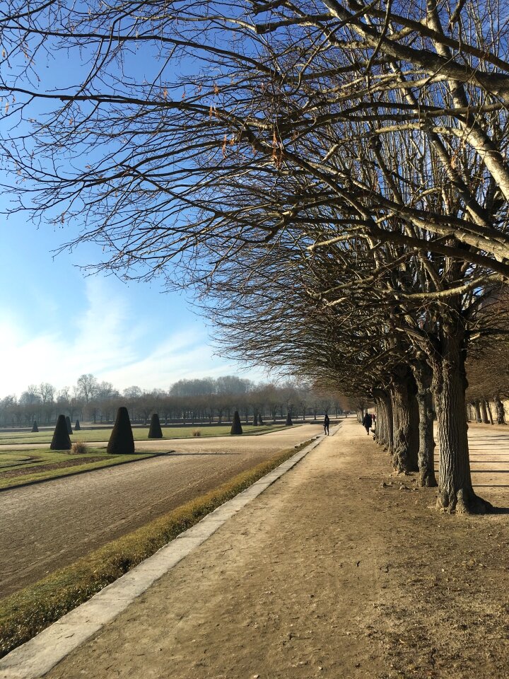 French fontainebleau autumn