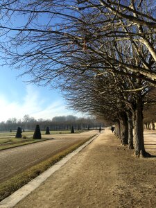 French fontainebleau autumn