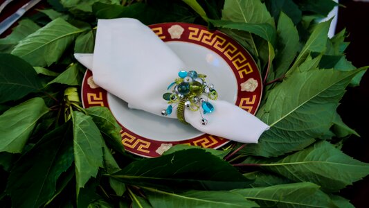 Pattern ring napkin