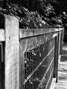 Wood passage stilt photo