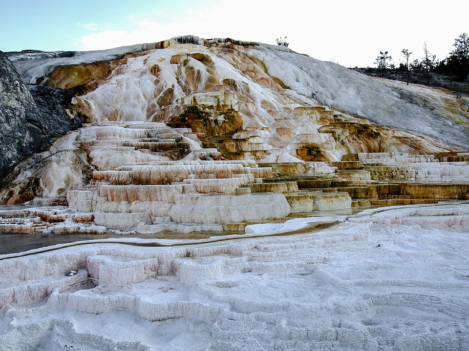 Yellowstone national park wyoming usa