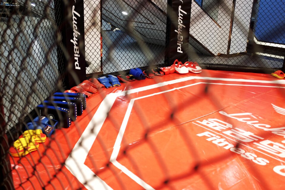 Boxing weights sanda