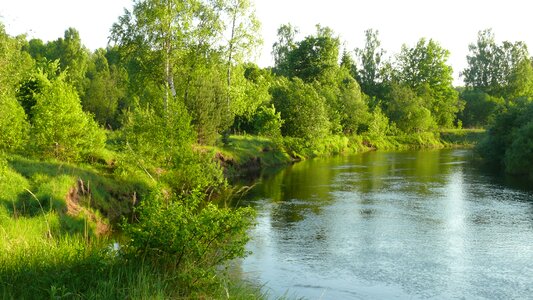 Nature landscape summer photo