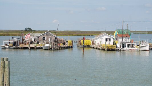 Virginia summer seashore