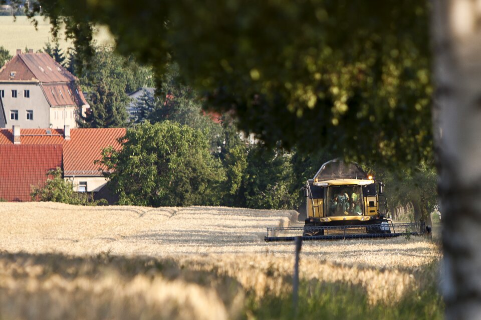 Harvest combine harvester saxony